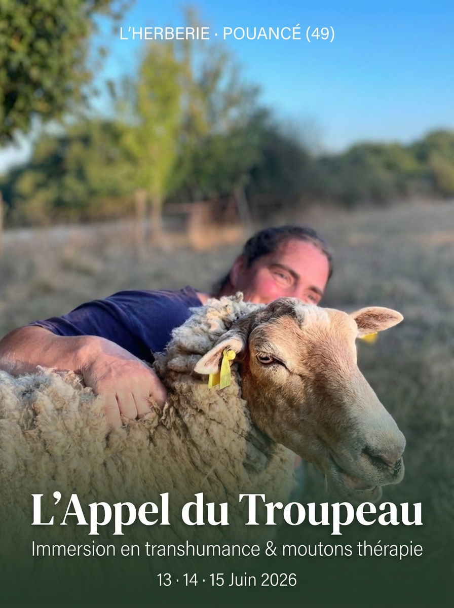 L'appel du troupeau 