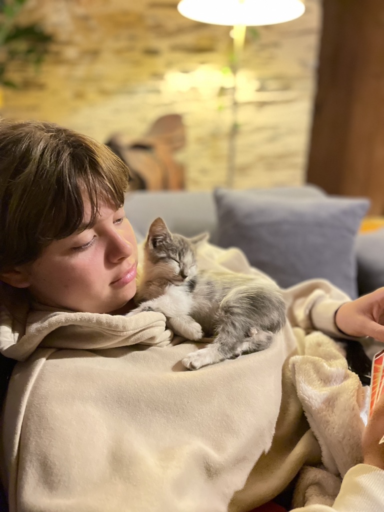 La famille s'agrandit : Koff, le chat de Joyce